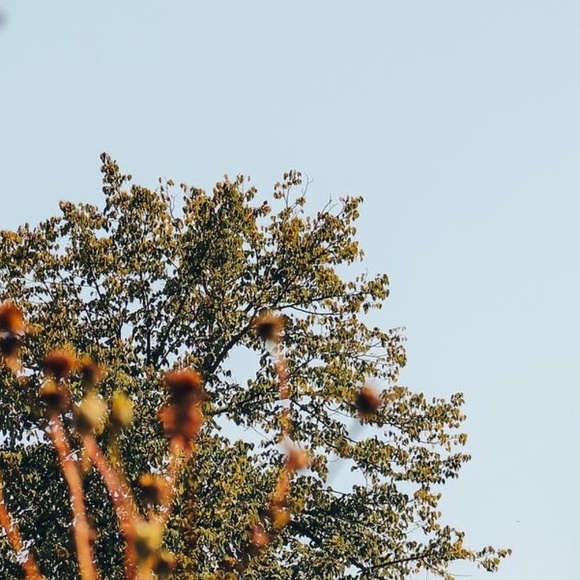 Meet your Posher, Nicole - Picture 1 of 1